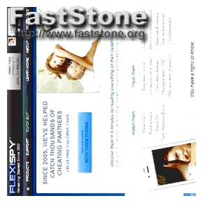 Mspy vs Flexispy 2019